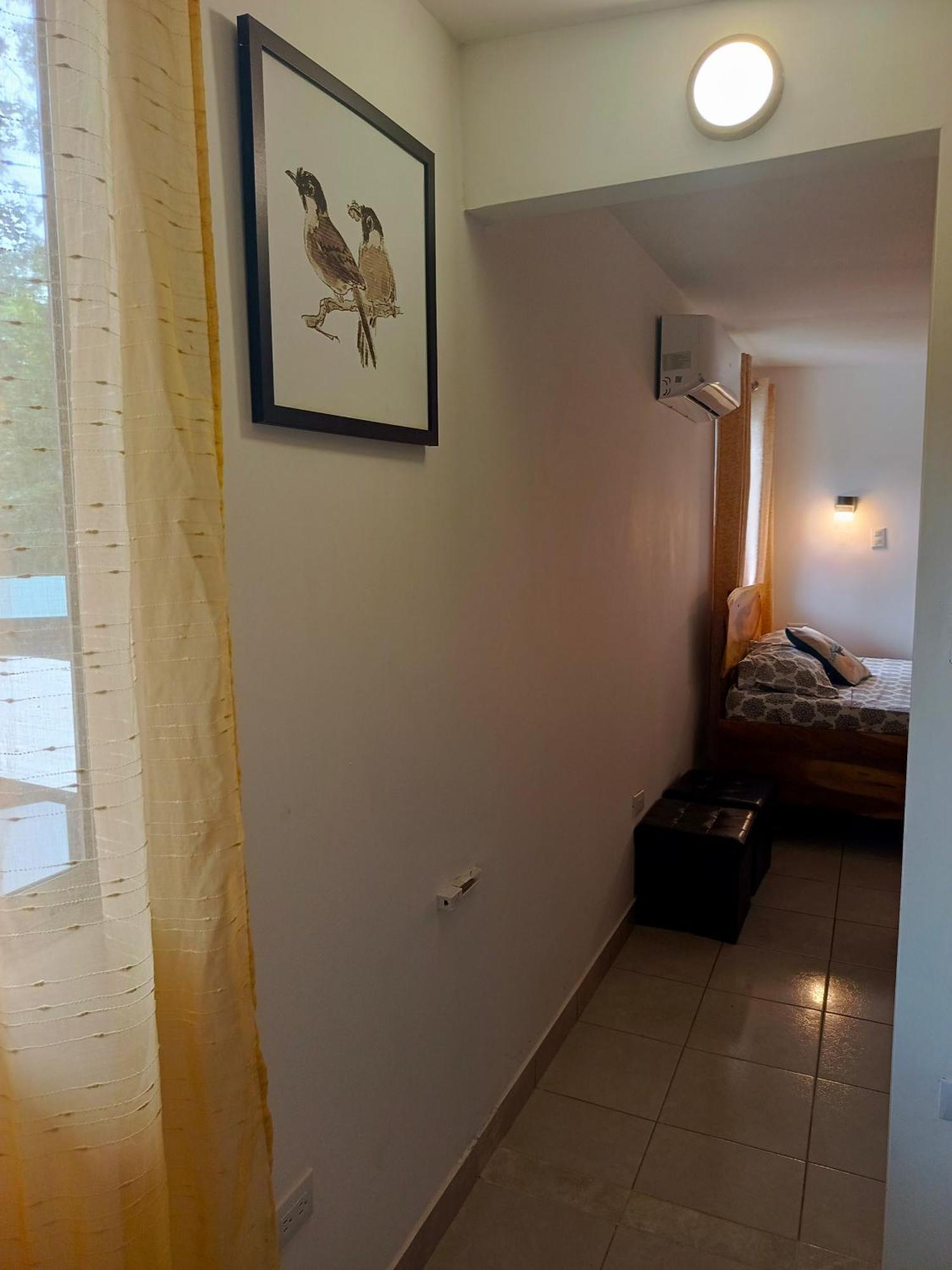 Hotel Boutique D Angelo Manzanillo  Εξωτερικό φωτογραφία